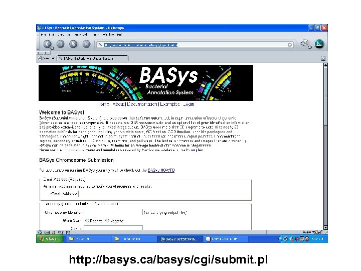 http: //basys. ca/basys/cgi/submit. pl 