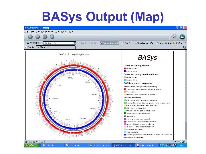 BASys Output (Map) 