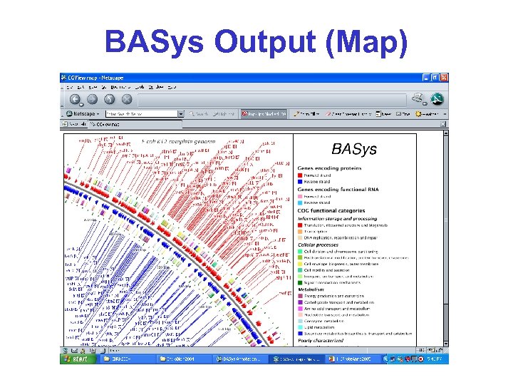 BASys Output (Map) 