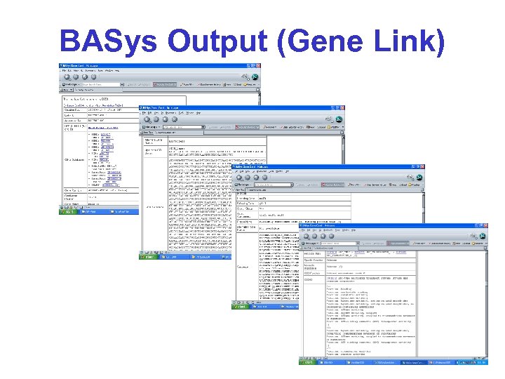 BASys Output (Gene Link) 