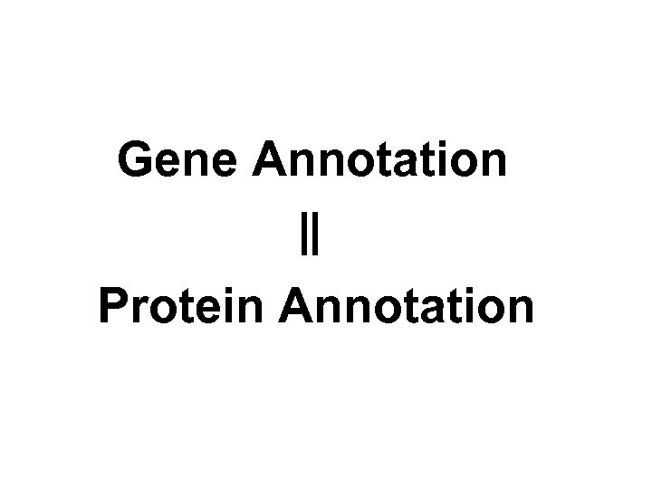 Gene Annotation Protein Annotation 