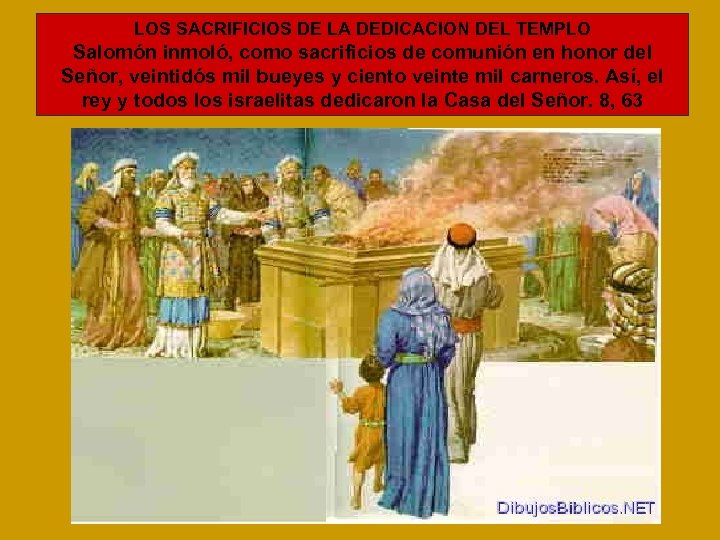 LOS SACRIFICIOS DE LA DEDICACION DEL TEMPLO Salomón inmoló, como sacrificios de comunión en