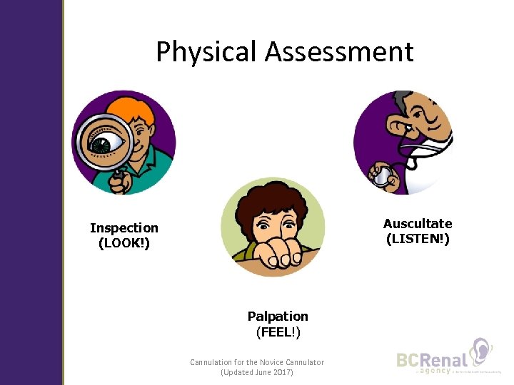 Physical Assessment Auscultate (LISTEN!) Inspection (LOOK!) Palpation (FEEL!) Cannulation for the Novice Cannulator (Updated