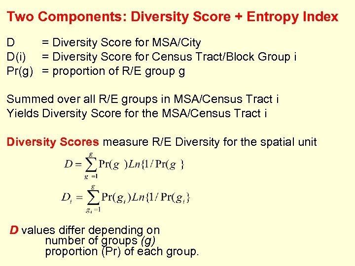 Two Components: Diversity Score + Entropy Index D = Diversity Score for MSA/City D(i)