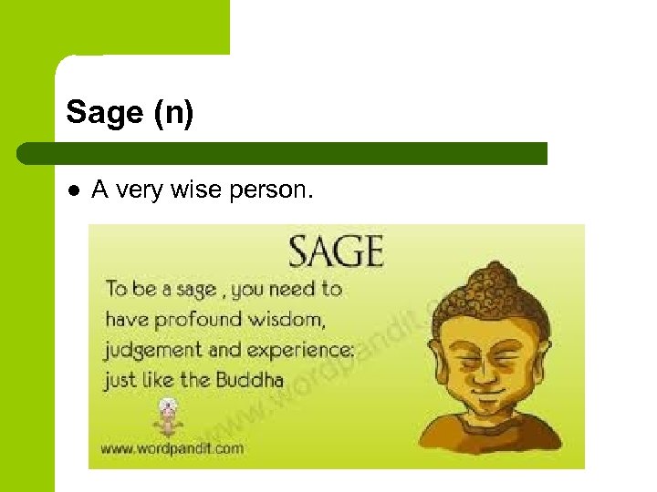 Sage (n) l A very wise person. 