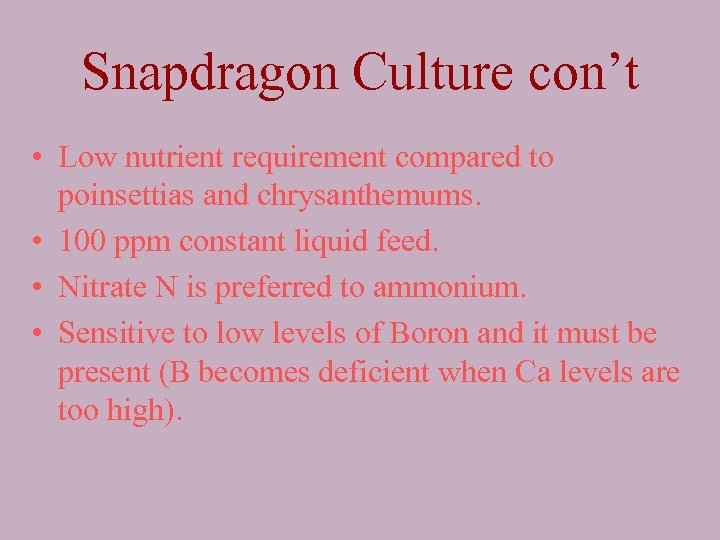 Snapdragon Culture con’t • Low nutrient requirement compared to poinsettias and chrysanthemums. • 100