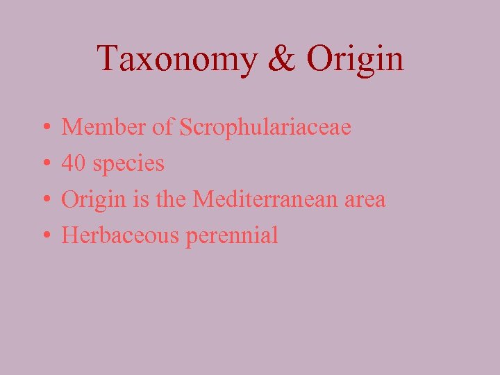 Taxonomy & Origin • • Member of Scrophulariaceae 40 species Origin is the Mediterranean