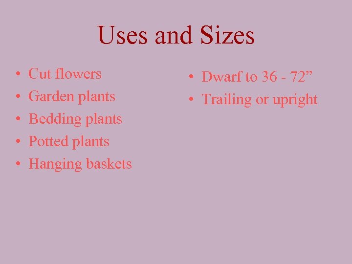 Uses and Sizes • • • Cut flowers Garden plants Bedding plants Potted plants