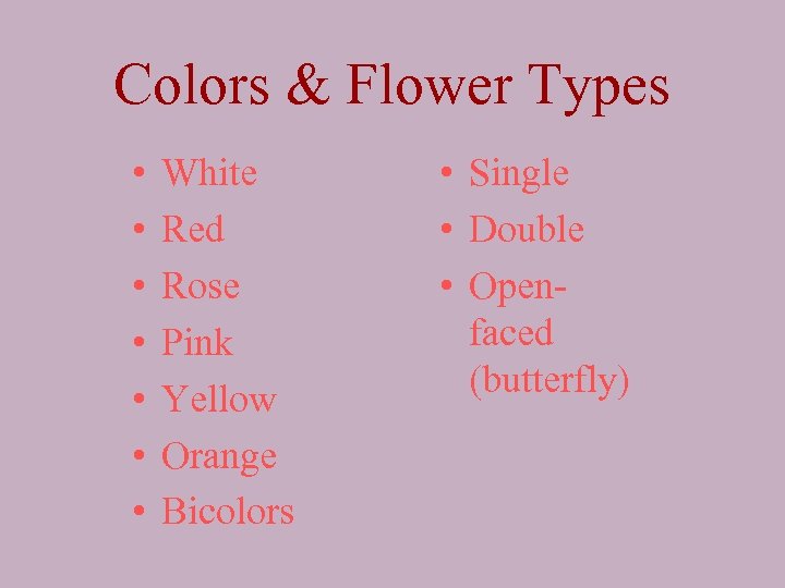 Colors & Flower Types • • White Red Rose Pink Yellow Orange Bicolors •