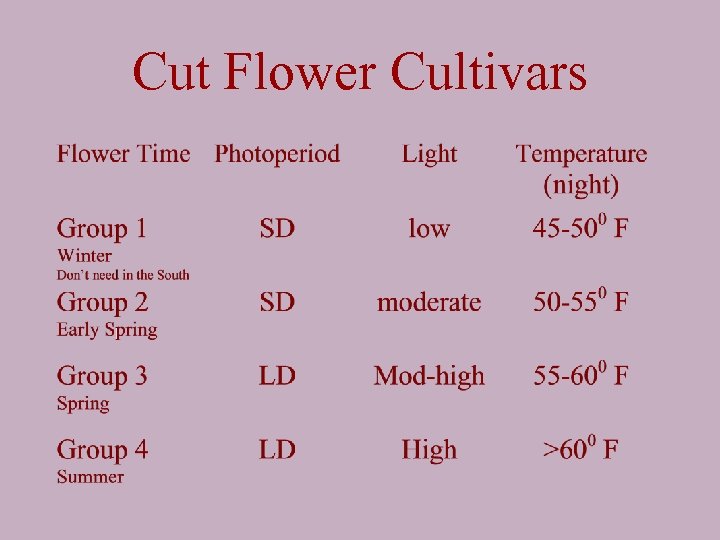 Cut Flower Cultivars 