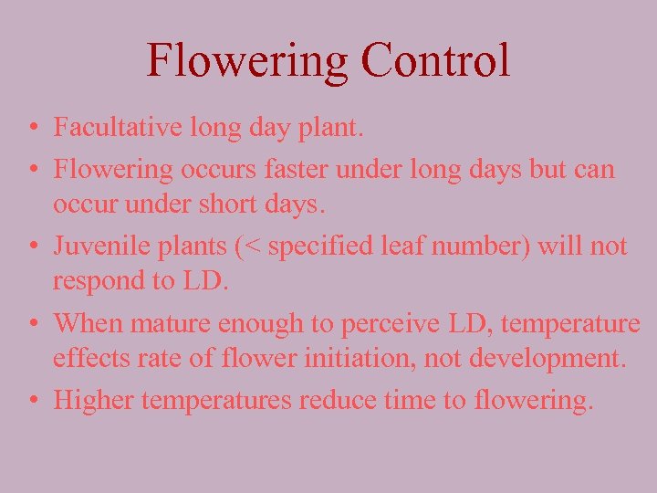 Flowering Control • Facultative long day plant. • Flowering occurs faster under long days