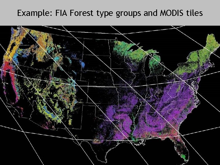 Example: FIA Forest type groups and MODIS tiles 