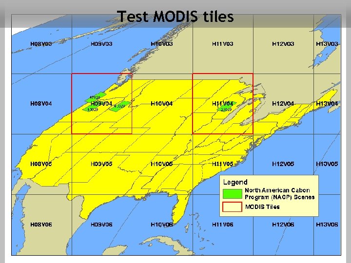Test MODIS tiles 
