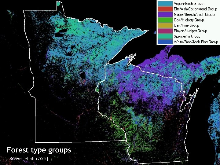 Forest type groups Brewer et al. (2005) 