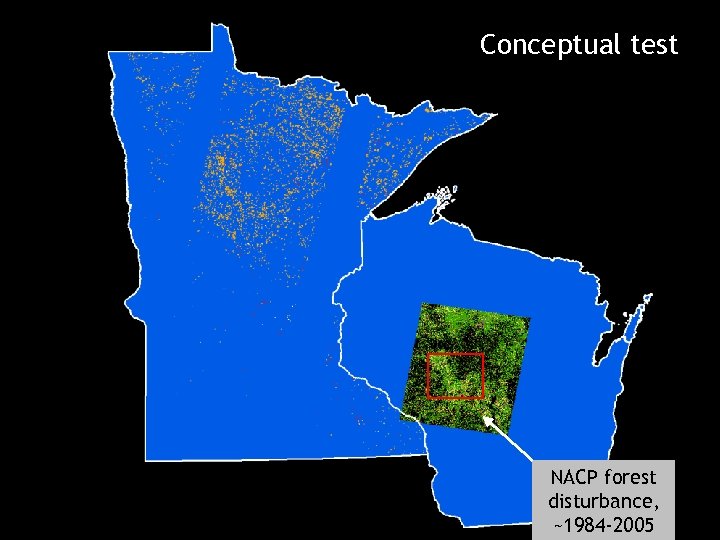 Conceptual test NACP forest disturbance, ~1984 -2005 