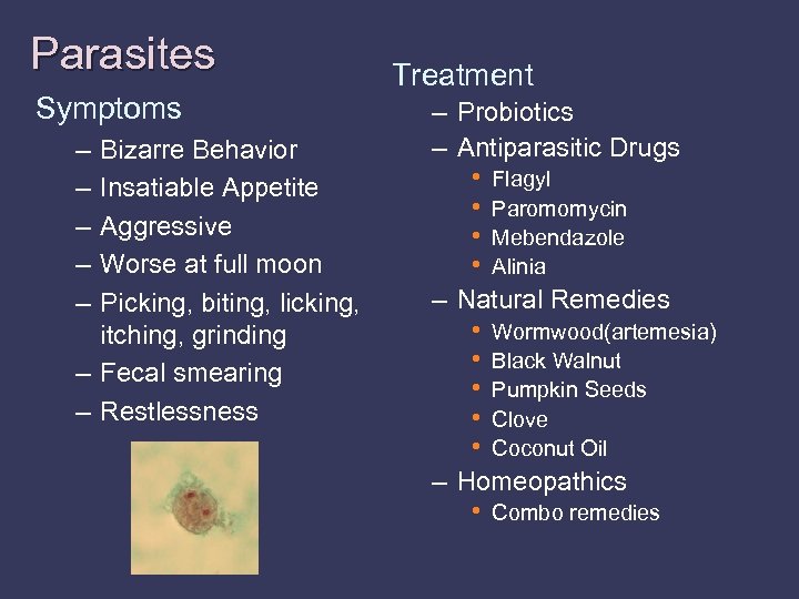 Parasites Symptoms – – – Bizarre Behavior Insatiable Appetite Aggressive Worse at full moon