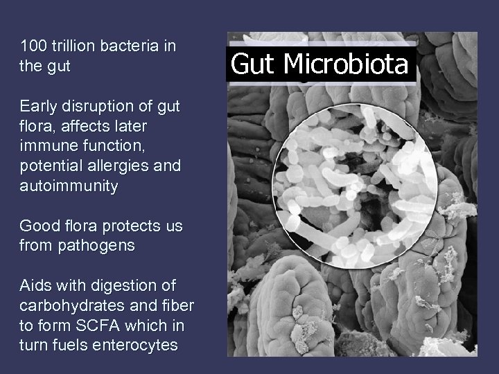 100 trillion bacteria in the gut Early disruption of gut flora, affects later immune