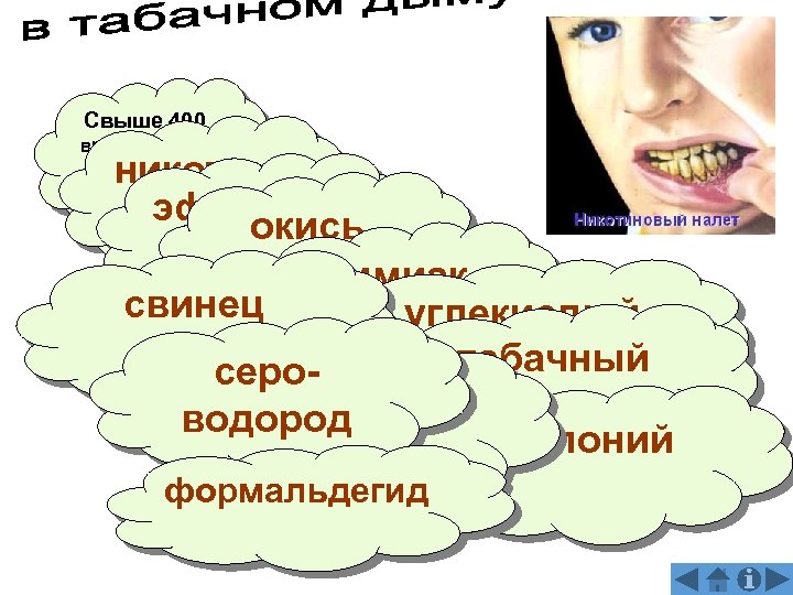 Свыше 400 вредных для организма веществ никотин эфирные окись масла углерода аммиак свинец углекислый
