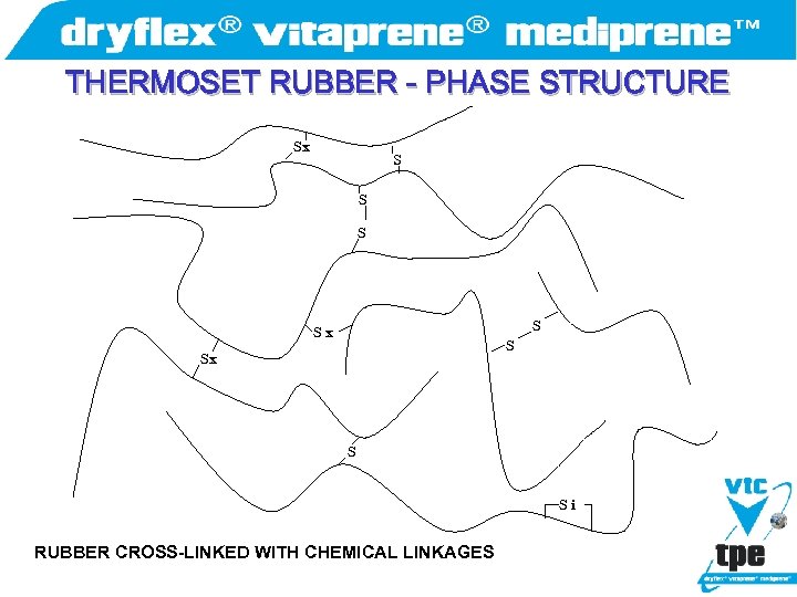 THERMOSET RUBBER - PHASE STRUCTURE Sx S Si RUBBER CROSS-LINKED WITH CHEMICAL LINKAGES 