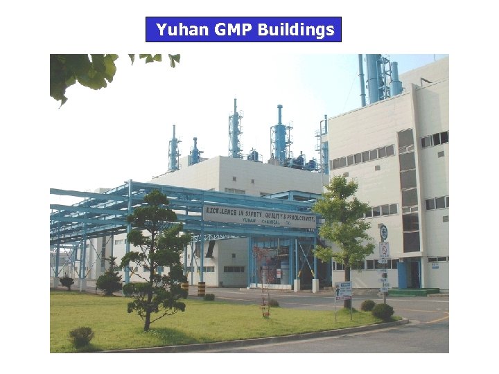 Yuhan GMP Buildings 