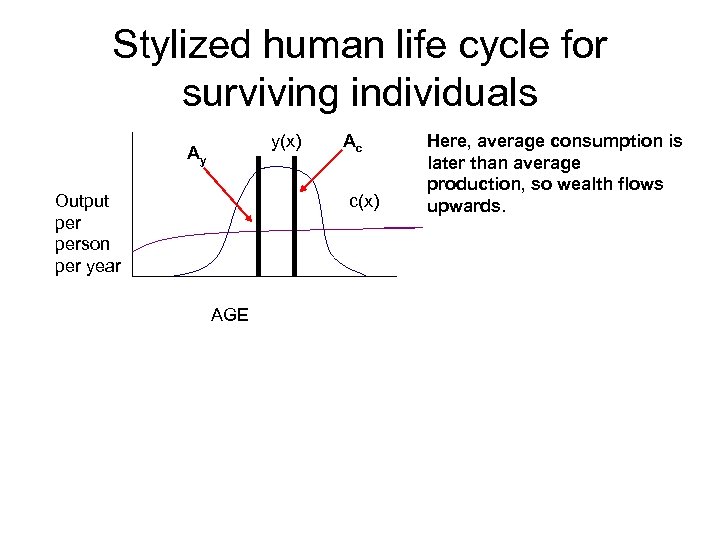 Stylized human life cycle for surviving individuals y(x) Ay Output person per year Ac
