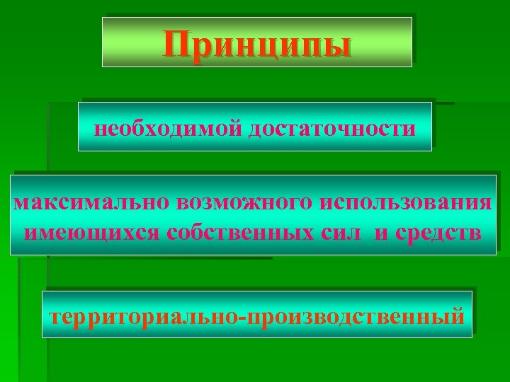 Принципы необходимой достаточности максимально возможного использования имеющихся собственных сил и средств территориально-производственный 