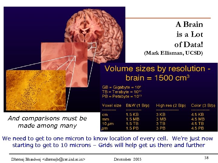 A Brain is a Lot of Data! (Mark Ellisman, UCSD) And comparisons must be