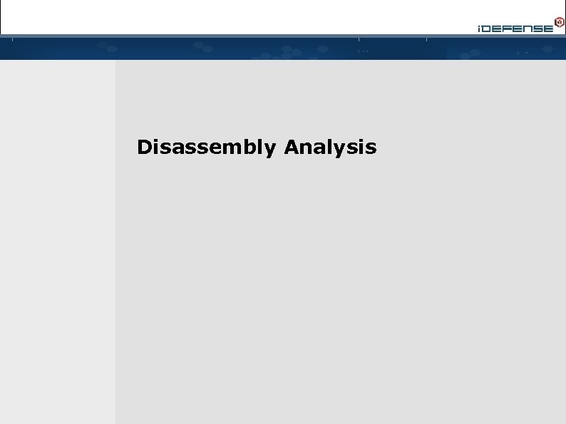 Disassembly Analysis 