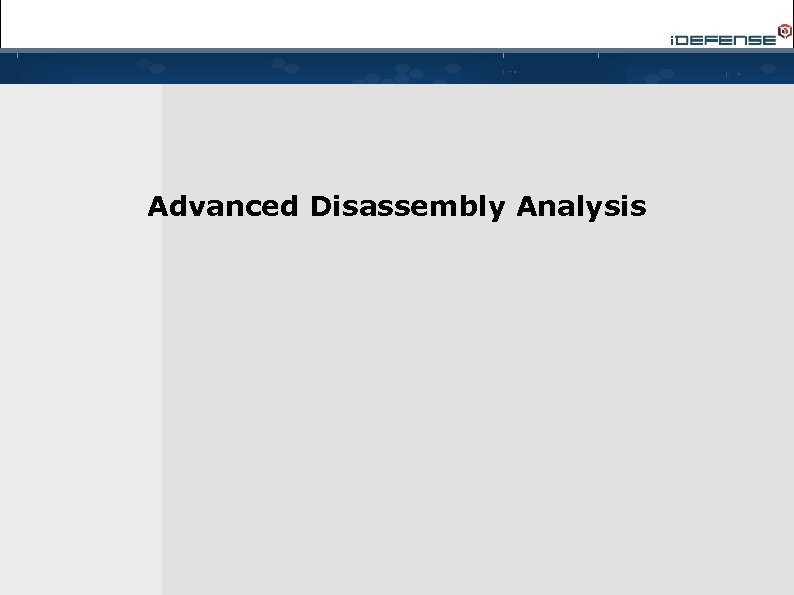Advanced Disassembly Analysis 