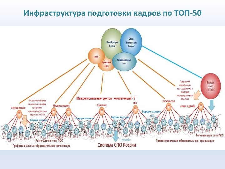 Инфраструктура подготовки кадров по ТОП-50 