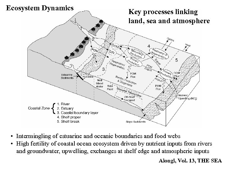 Ecosystem Dynamics Key processes linking land, sea and atmosphere • Intermingling of estuarine and