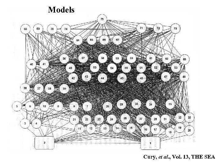 Models Cury, et al. , Vol. 13, THE SEA 