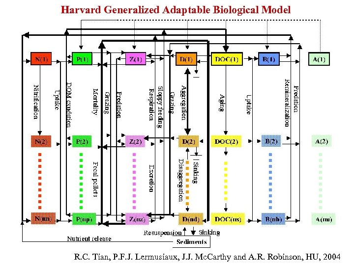 Harvard Generalized Adaptable Biological Model R. C. Tian, P. F. J. Lermusiaux, J. J.