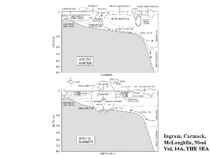 Ingram, Carmack, Mc. Laughlin, Nicol Vol. 14 A, THE SEA 