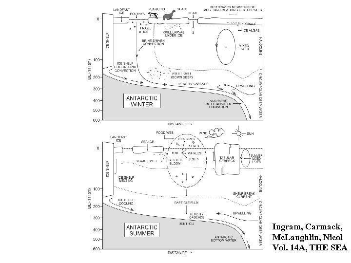 Ingram, Carmack, Mc. Laughlin, Nicol Vol. 14 A, THE SEA 