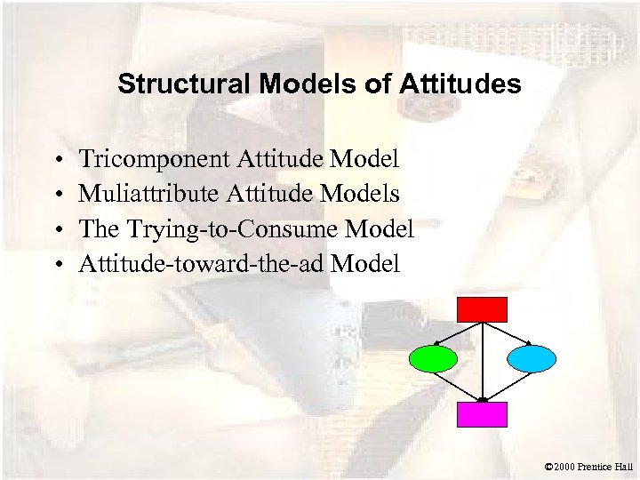 Structural Models of Attitudes • • Tricomponent Attitude Model Muliattribute Attitude Models The Trying-to-Consume