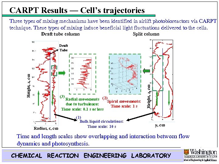 CARPT Results — Cell’s trajectories Three types of mixing mechanisms have been identified in