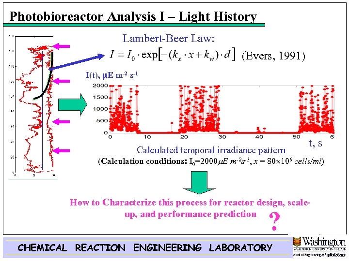 Photobioreactor Analysis I – Light History Lambert-Beer Law: (Evers, 1991) I(t), m. E m-2