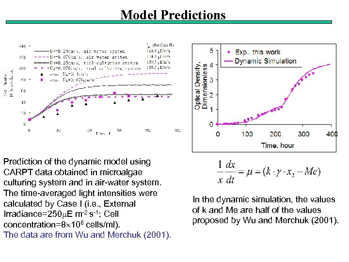 Model Predictions Prediction of the dynamic model using CARPT data obtained in microalgae culturing