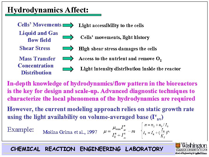 Hydrodynamics Affect: Cells’ Movements Liquid and Gas flow field Shear Stress Light accessibility to