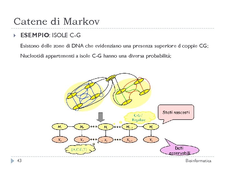 Catene di Markov ESEMPIO: ISOLE C-G Esistono delle zone di DNA che evidenziano una