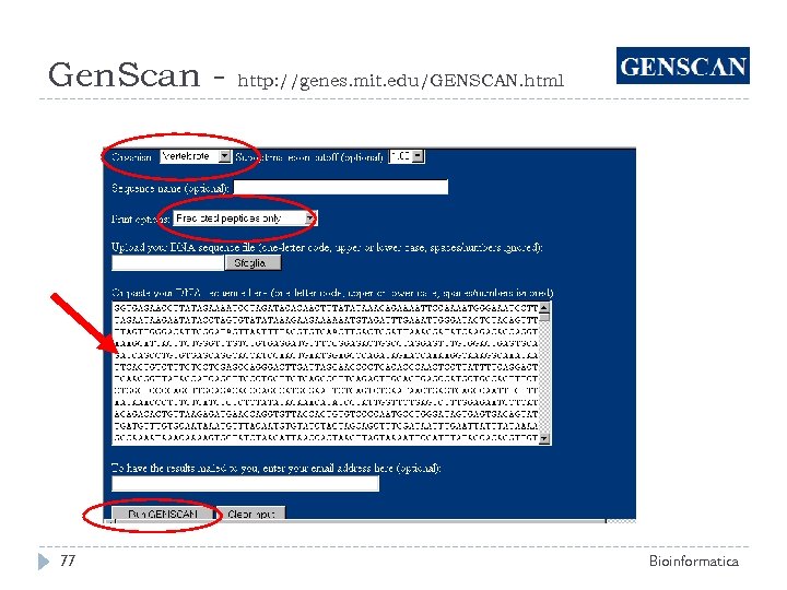 Gen. Scan - 77 http: //genes. mit. edu/GENSCAN. html Bioinformatica 