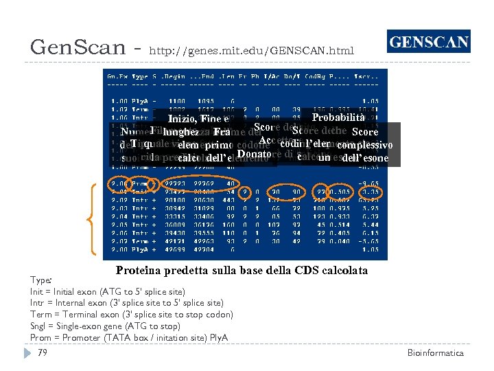 Gen. Scan - http: //genes. mit. edu/GENSCAN. html Probabilità Inizio, Fine e Score del