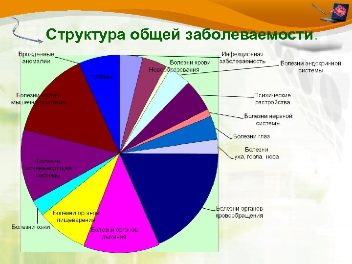 Структура общей заболеваемости. 