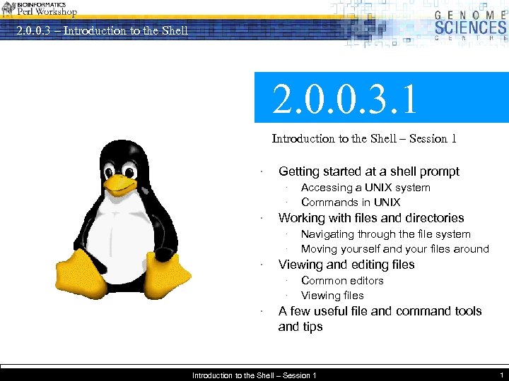 2. 0. 0. 3 – Introduction to the Shell 2. 0. 0. 3. 1
