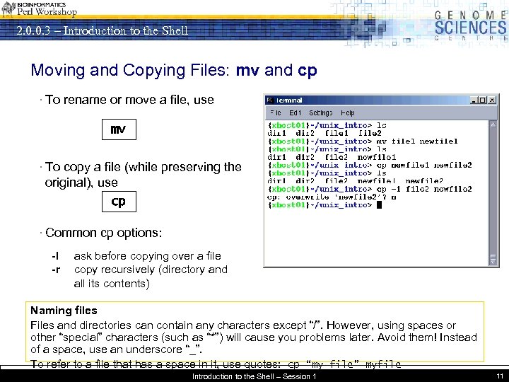 2. 0. 0. 3 – Introduction to the Shell Moving and Copying Files: mv