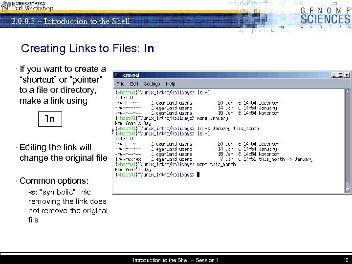 2. 0. 0. 3 – Introduction to the Shell Creating Links to Files: ln