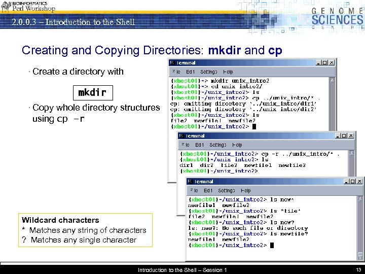 2. 0. 0. 3 – Introduction to the Shell Creating and Copying Directories: mkdir