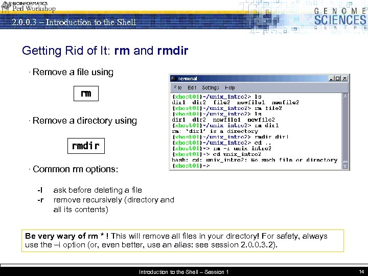 2. 0. 0. 3 – Introduction to the Shell Getting Rid of It: rm