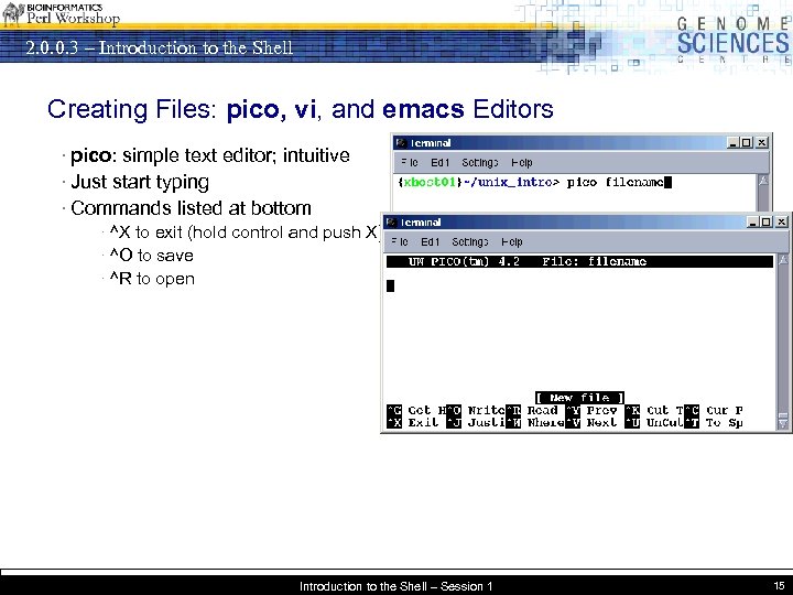 2. 0. 0. 3 – Introduction to the Shell Creating Files: pico, vi, and